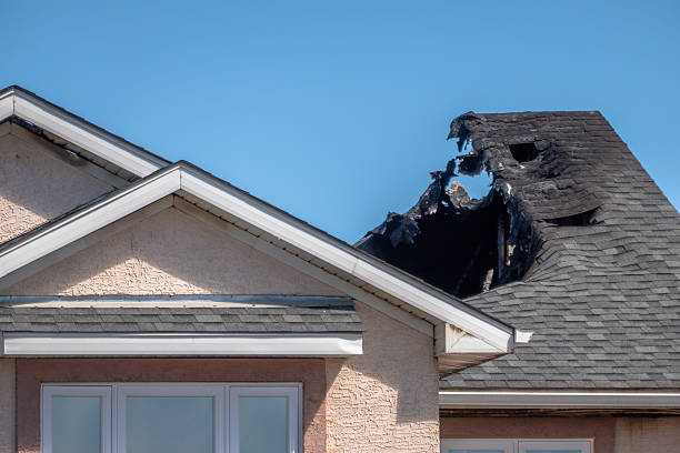 Top rated local Board Up Services specialists in Richwood, NJ
